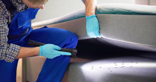 Best Insect Control  in Robbins, IL