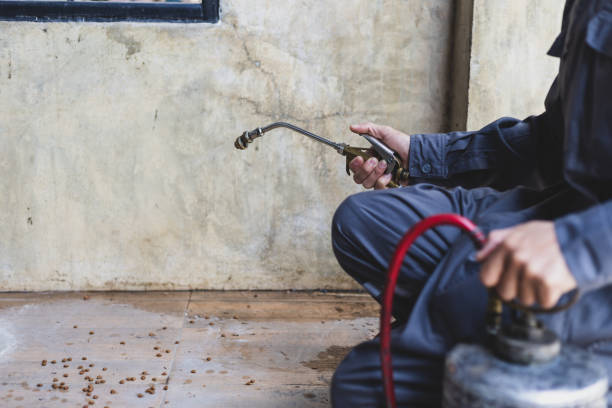 Best Termite Control Services  in Robbins, IL